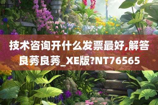 技术咨询开什么发票最好,解答良莠良莠_XE版?NT76565
