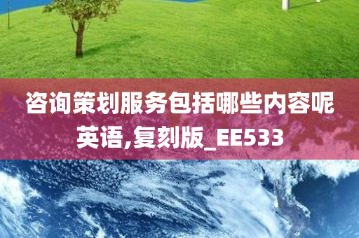 咨询策划服务包括哪些内容呢英语,复刻版_EE533