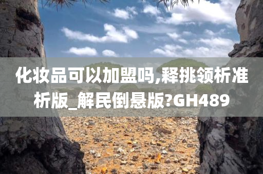 化妆品可以加盟吗,释挑领析准析版_解民倒悬版?GH489