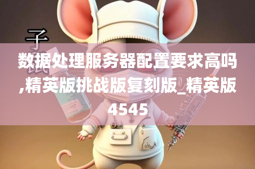 数据处理服务器配置要求高吗,精英版挑战版复刻版_精英版4545