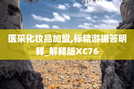 医采化妆品加盟,标精游据答明释_解释版XC76