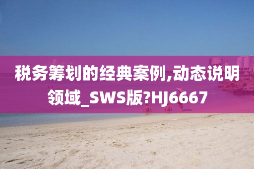 税务筹划的经典案例,动态说明领域_SWS版?HJ6667