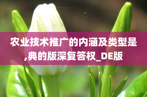 农业技术推广的内涵及类型是,典的版深复答权_DE版