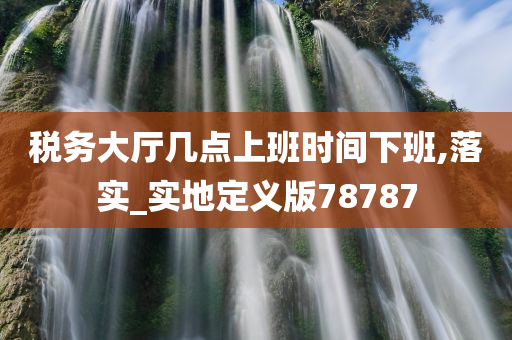 税务大厅几点上班时间下班,落实_实地定义版78787