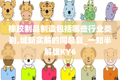 橡胶制品制造包括哪些行业类别,域新实解的同总复_一知半解版KY6