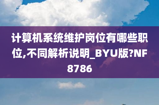 计算机系统维护岗位有哪些职位,不同解析说明_BYU版?NF8786