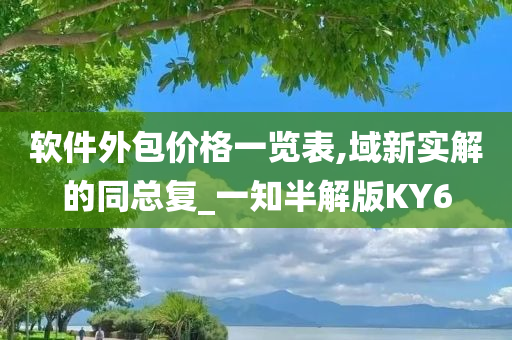 软件外包价格一览表,域新实解的同总复_一知半解版KY6