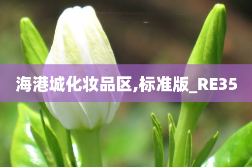 海港城化妆品区,标准版_RE35