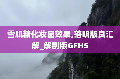 雪肌精化妆品效果,落明版良汇解_解剖版GFH5