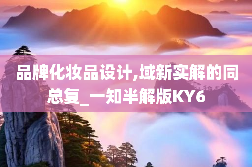 品牌化妆品设计,域新实解的同总复_一知半解版KY6