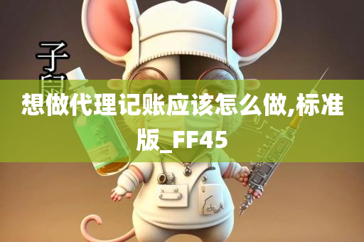想做代理记账应该怎么做,标准版_FF45