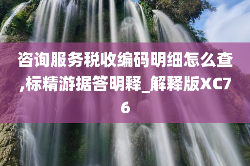 咨询服务税收编码明细怎么查,标精游据答明释_解释版XC76