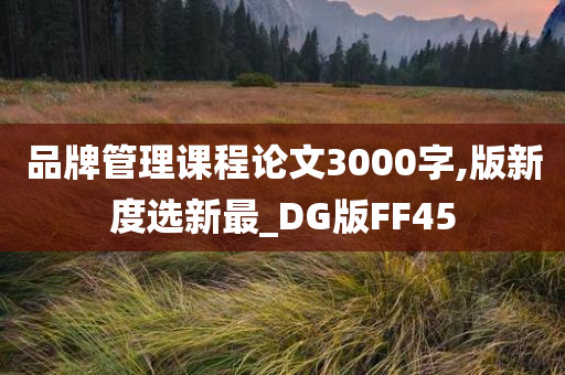 品牌管理课程论文3000字,版新度选新最_DG版FF45