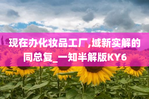 现在办化妆品工厂,域新实解的同总复_一知半解版KY6