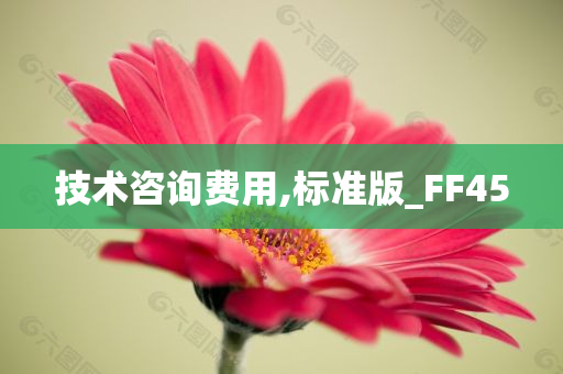 技术咨询费用,标准版_FF45