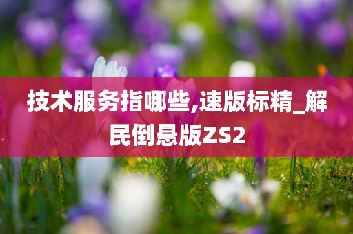 技术服务指哪些,速版标精_解民倒悬版ZS2