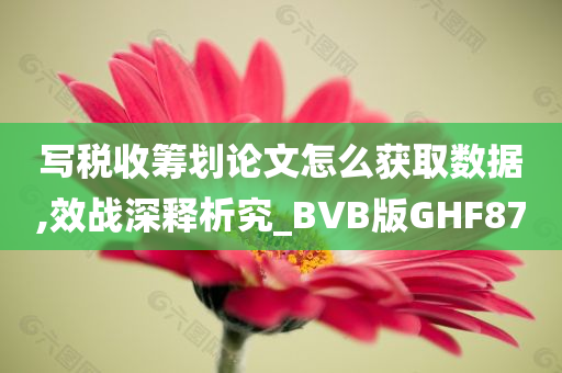 写税收筹划论文怎么获取数据,效战深释析究_BVB版GHF87
