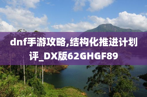 dnf手游攻略,结构化推进计划评_DX版62GHGF89