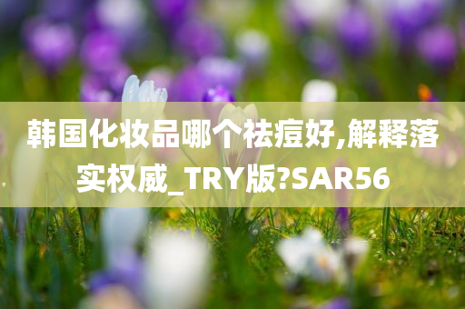 韩国化妆品哪个祛痘好,解释落实权威_TRY版?SAR56