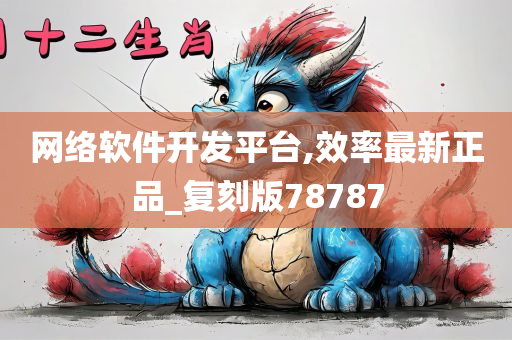 网络软件开发平台,效率最新正品_复刻版78787