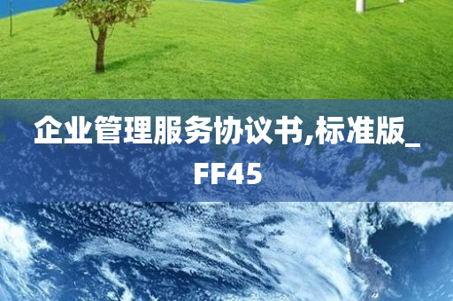 企业管理服务协议书,标准版_FF45