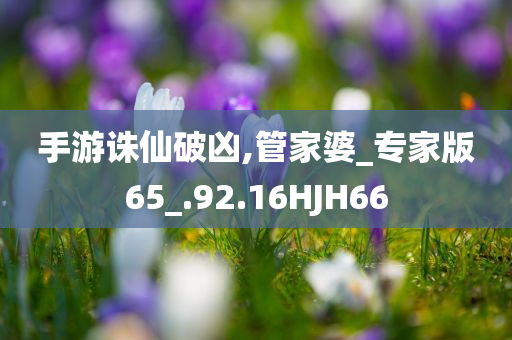手游诛仙破凶,管家婆_专家版65_.92.16HJH66