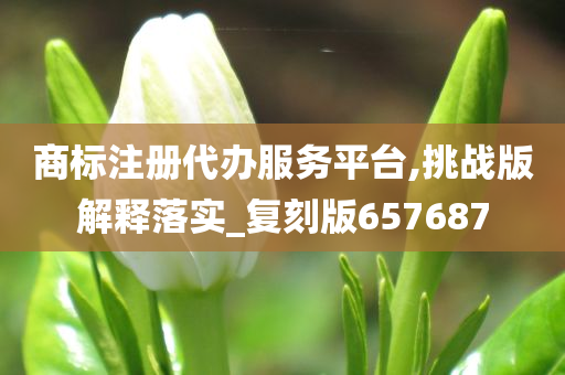 商标注册代办服务平台,挑战版解释落实_复刻版657687