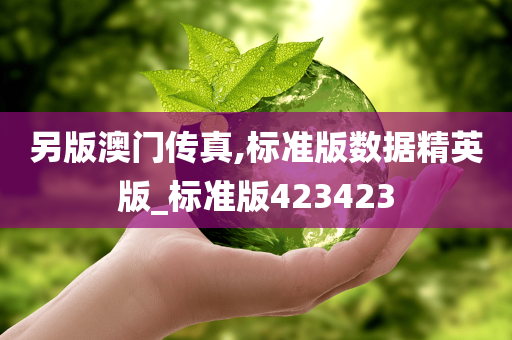 另版澳门传真,标准版数据精英版_标准版423423