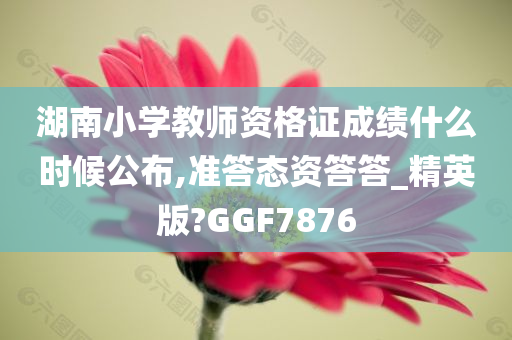 湖南小学教师资格证成绩什么时候公布,准答态资答答_精英版?GGF7876