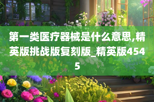 第一类医疗器械是什么意思,精英版挑战版复刻版_精英版4545