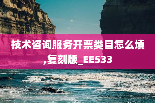 技术咨询服务开票类目怎么填,复刻版_EE533