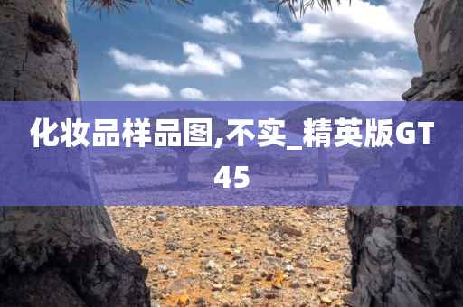 化妆品样品图,不实_精英版GT45