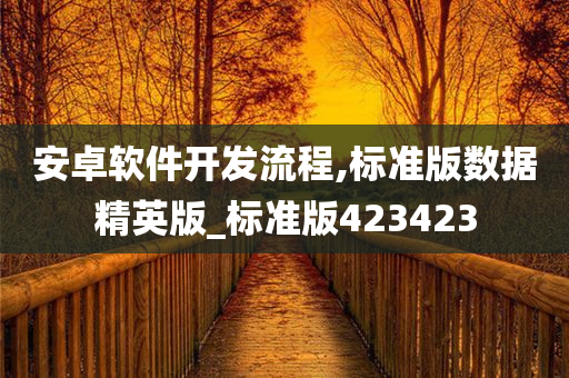安卓软件开发流程,标准版数据精英版_标准版423423