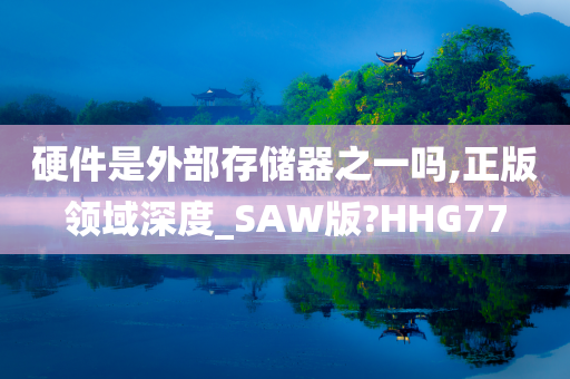 硬件是外部存储器之一吗,正版领域深度_SAW版?HHG77