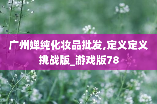 广州婵纯化妆品批发,定义定义挑战版_游戏版78