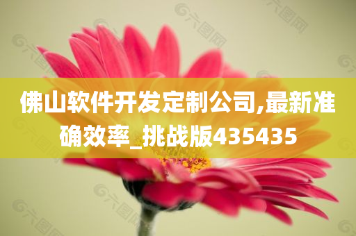 佛山软件开发定制公司,最新准确效率_挑战版435435