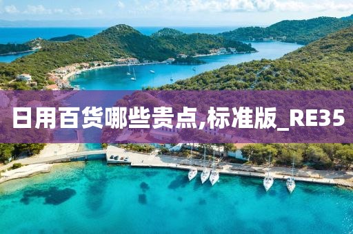 日用百货哪些贵点,标准版_RE35