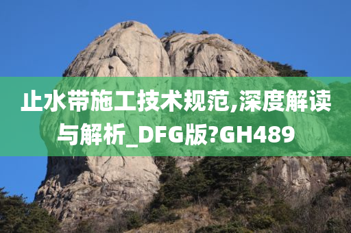止水带施工技术规范,深度解读与解析_DFG版?GH48今晚必出三肖2025_2025新澳门精准免费提供·精确判断9