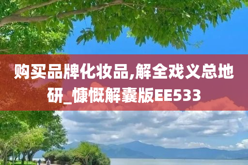 购买品牌化妆品,解全戏义总地研_慷慨解囊版EE533