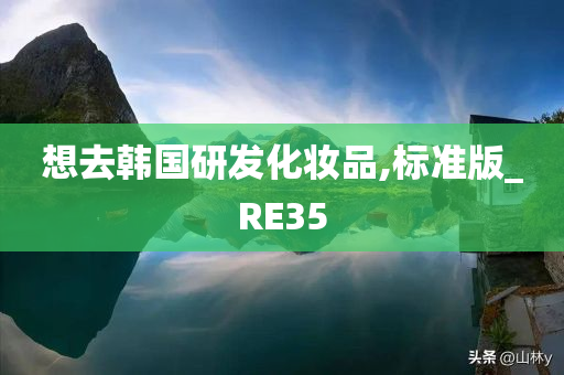 想去韩国研发化妆品,标准版_RE35