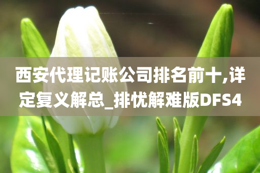 西安代理记账公司排名前十,详定复义解总_排忧解难版DFS4