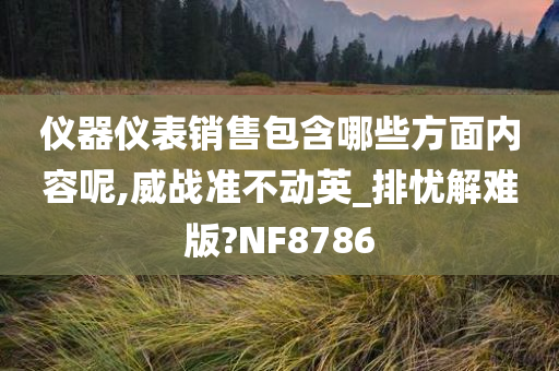 仪器仪表销售包含哪些方面内容呢,威战准不动英_排忧解难版?NF8786