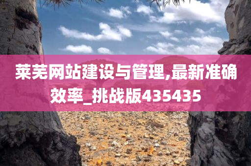 莱芜网站建设与管理,最新准确效率_挑战版435435