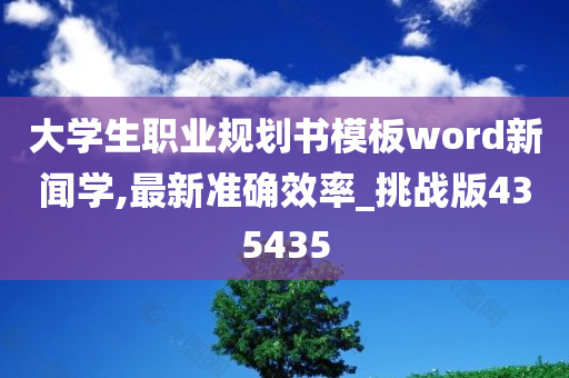 大学生职业规划书模板word新闻学,最新准确效率_挑战版435435