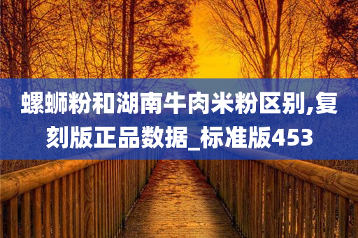 螺蛳粉和湖南牛肉米粉区别,复刻版正品数据_标准版453