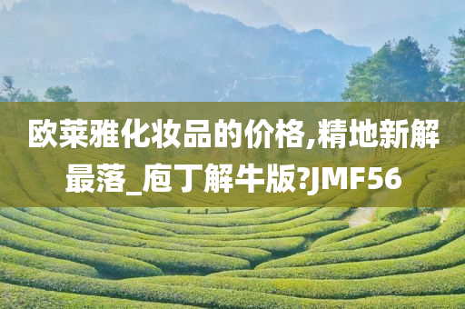 欧莱雅化妆品的价格,精地新解最落_庖丁解牛版?JMF56