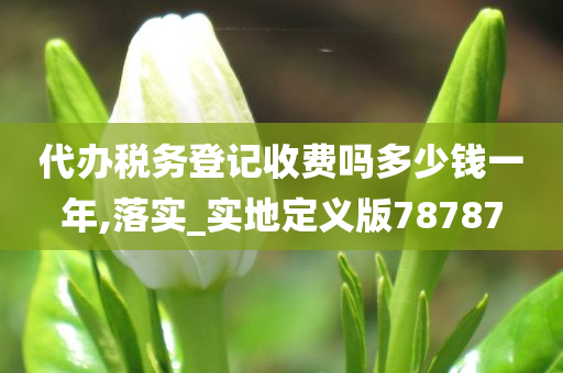 代办税务登记收费吗多少钱一年,落实_实地定义版78787