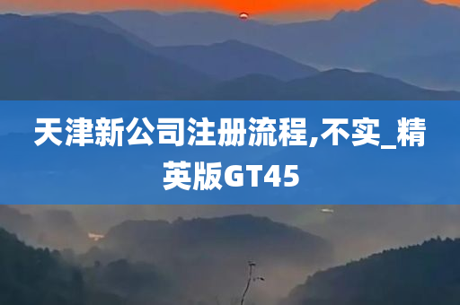 天津新公司注册流程,不实_精英版GT45