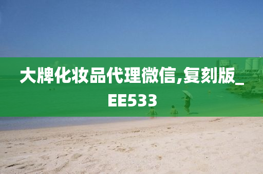 大牌化妆品代理微信,复刻版_EE533