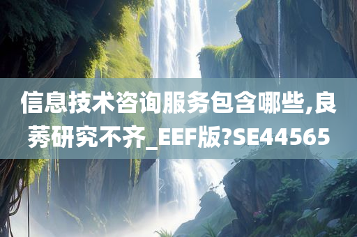 信息技术咨询服务包含哪些,良莠研究不齐_EEF版?SE44565